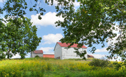 19th Sep 2023 - Farm buildings on the hill