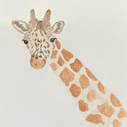 19th Sep 2023 - Day 19:  Giraffe