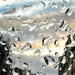 Rain by gaillambert