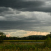 Storm over Baker Wetlands