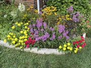 20th Sep 2023 - Corner Flower Garden