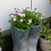 Planter