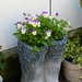 Planter by fishers