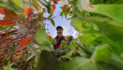 20th Sep 2023 - Peeking through the flowers