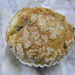 Blueberry Muffin  by sfeldphotos