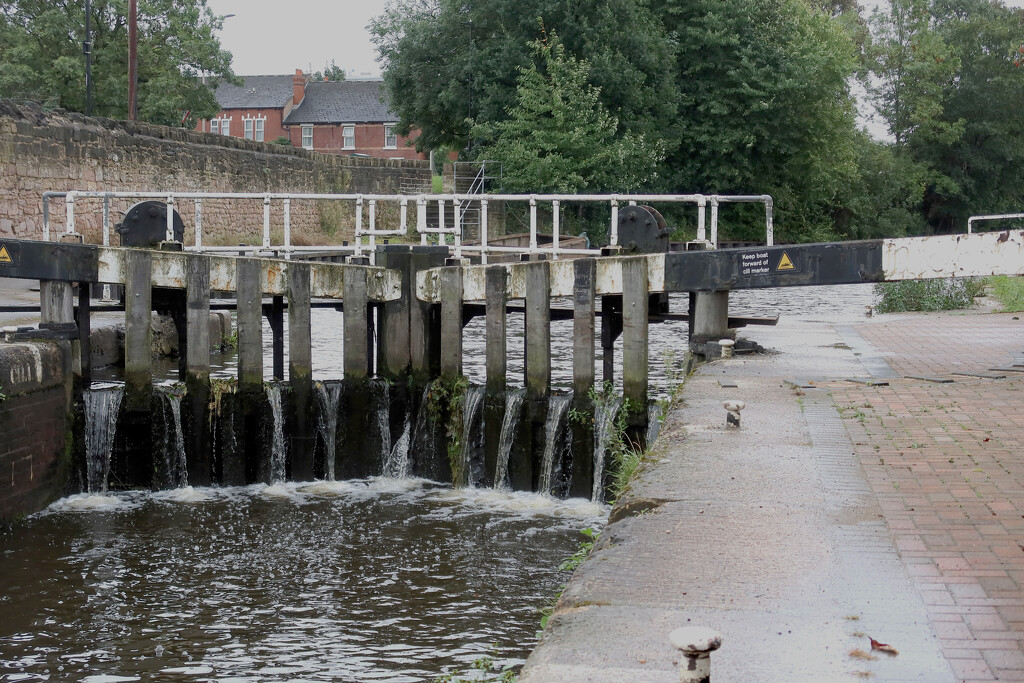 Cannel in Sheffield.........886 by neil_ge