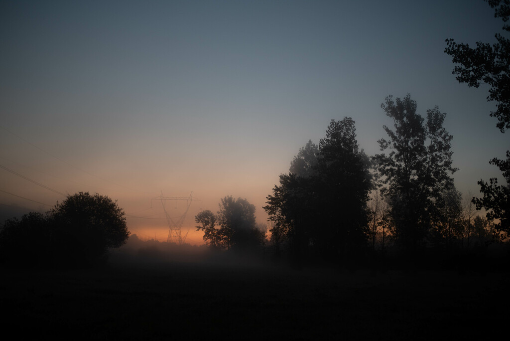 Sunrise through the mist--sooc by darchibald