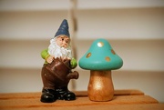 20th Sep 2023 - Tiny Garden Gnome and Mushroom 