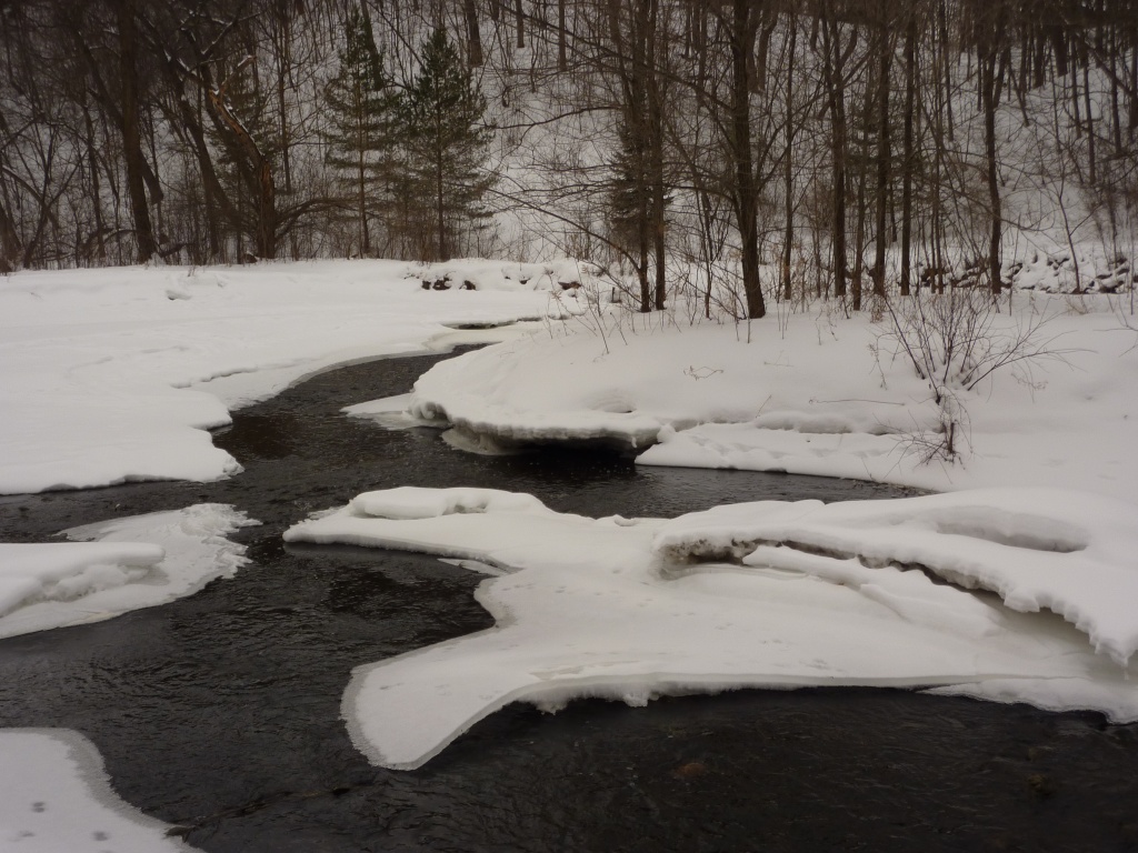 Winter Creek by denisedaly