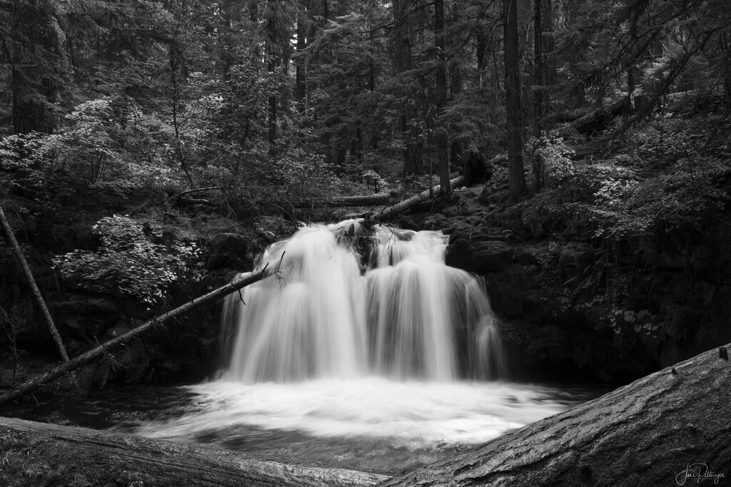B and W Whitehorse Falls by jgpittenger