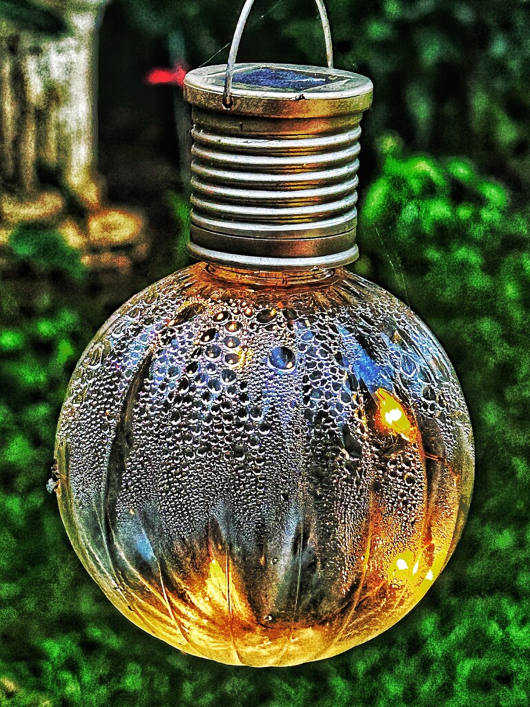 Light Condensation by carole_sandford