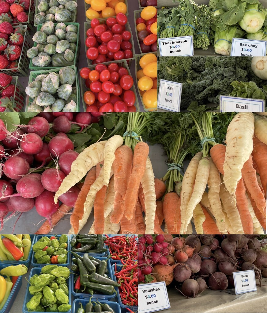Colorful Fruits and Veggies at Farmers Market by eahopp