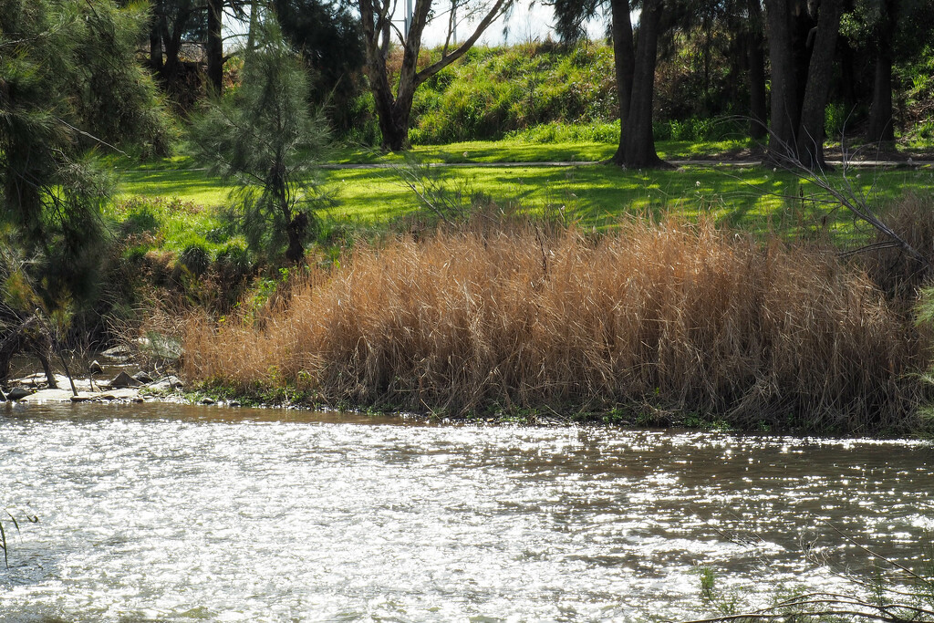 Sunshine on the River by alison365