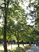 22nd Sep 2023 - Sun flare in the park