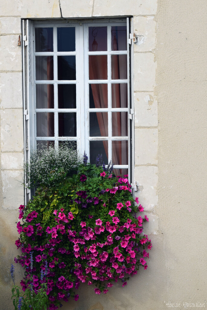 lovely window by parisouailleurs