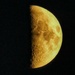Lunar Golden Hour  by 30pics4jackiesdiamond