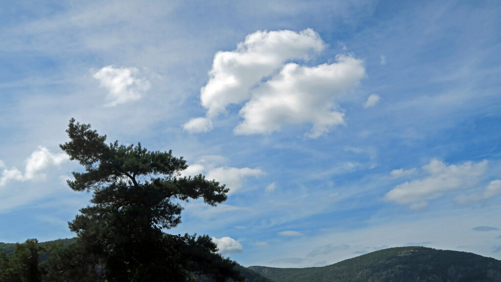 Mountains and Trees and Clouds by april16