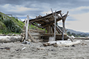 22nd Sep 2023 - Beach shelter