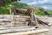 23rd Sep 2023 - Cyclone Gabrielle shelter