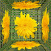 Yellow Flower Mirror Box