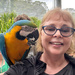 Macaw by corymbia