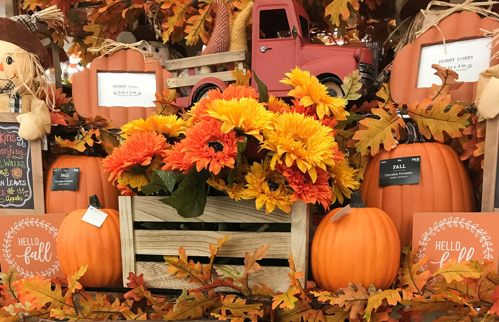 Autumn display by mittens