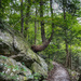 Sitton Gulch Trail by k9photo