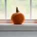 Window Pumpkins by paintdipper