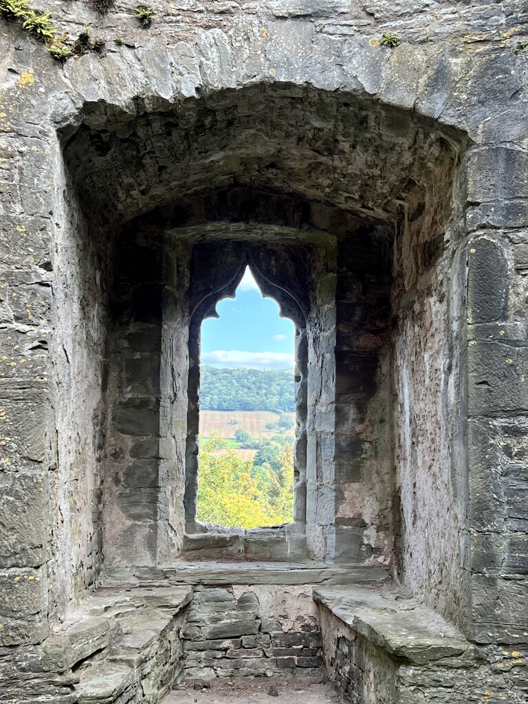 Bronllys Castle by tinley23