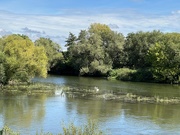 2nd Sep 2023 - Main River