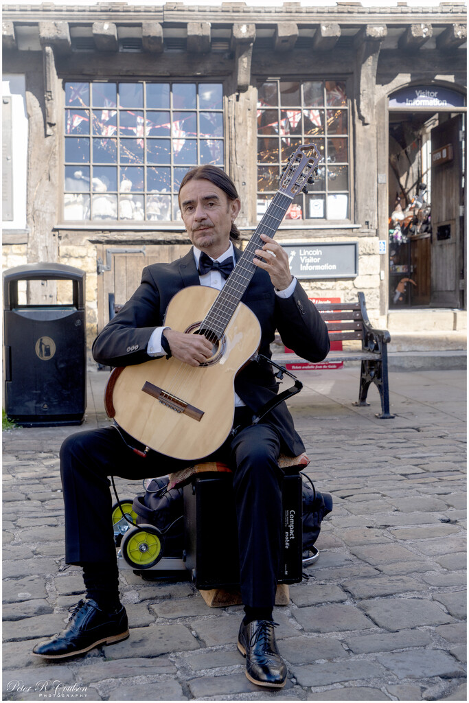 The Posh Busker by pcoulson
