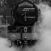 Steam Dreams 