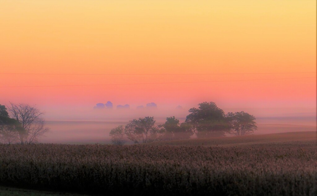 Misty Sunrise by lynnz