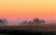 24th Sep 2023 - Misty Sunrise