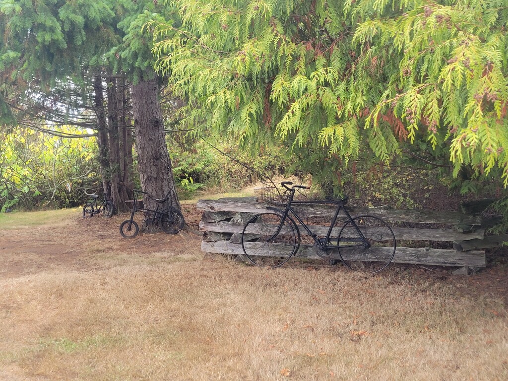 A Trio of Old Bicycles by kimmer50