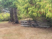 23rd Sep 2023 - A Trio of Old Bicycles