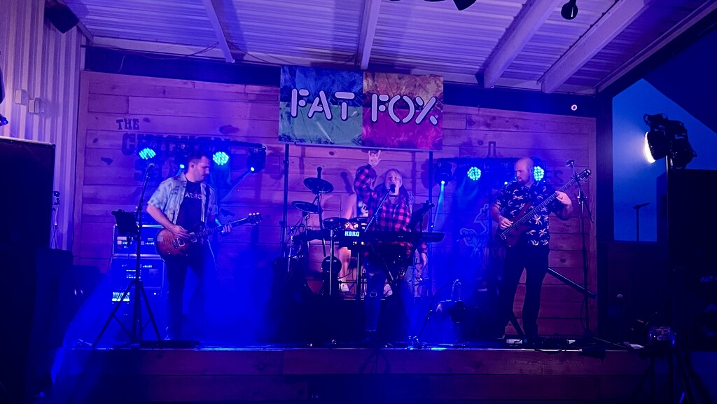 Fat Fox Band by tapucc10
