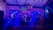 23rd Sep 2023 - Fat Fox Band