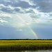 Rainbow over the marsh