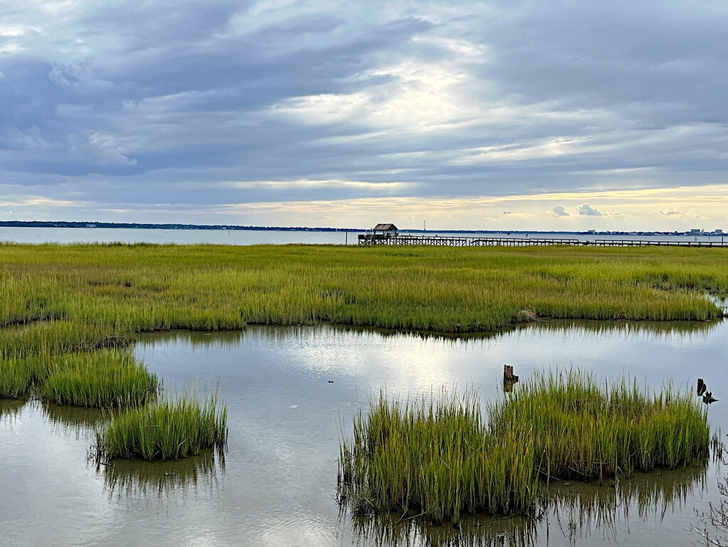 Late afternoon marsh at high tide by congaree