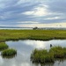 Late afternoon marsh at high tide