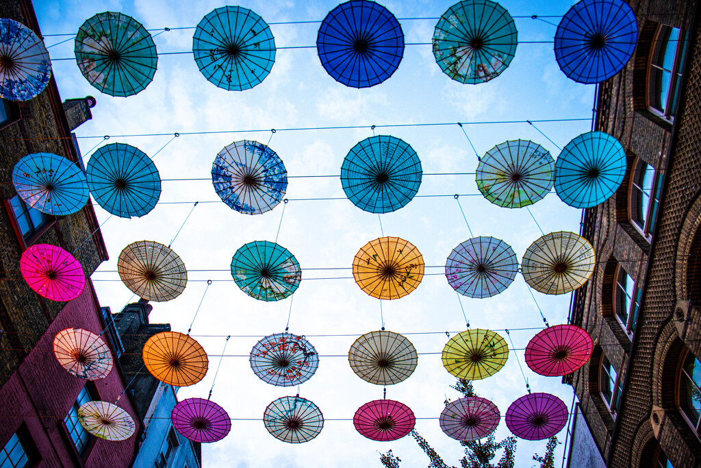 Chinese Umbrellas by swillinbillyflynn