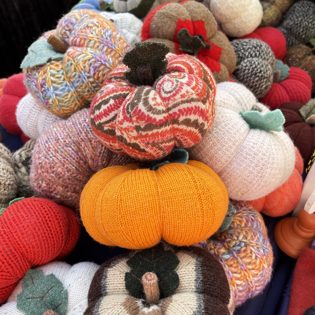 Sweater Pumpkins by yogiw