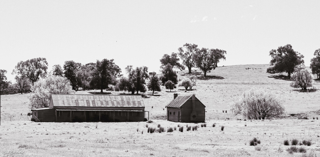 Bangus Woolshed by ankers70