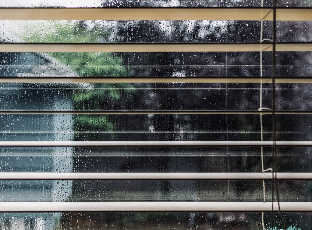 Through the blinds by cristinaledesma33