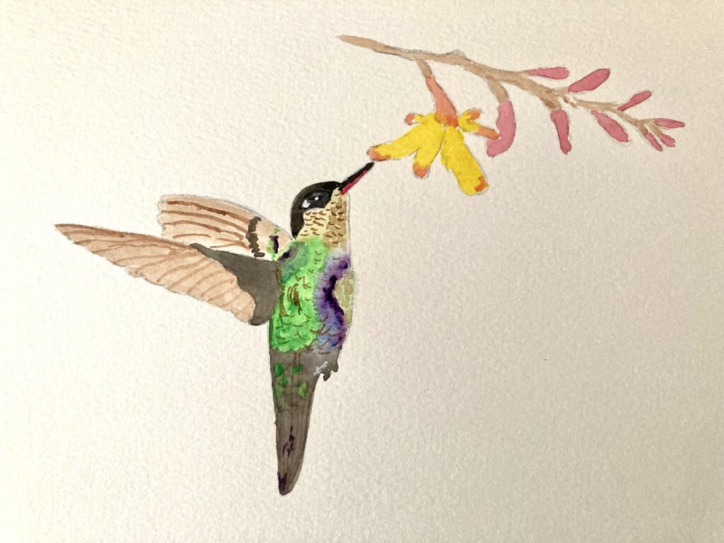 Day 26:  Hummingbird by artsygang