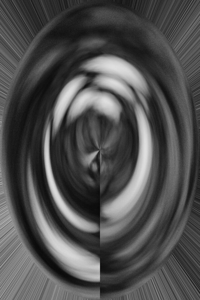 Sunflower Abstract BW by k9photo