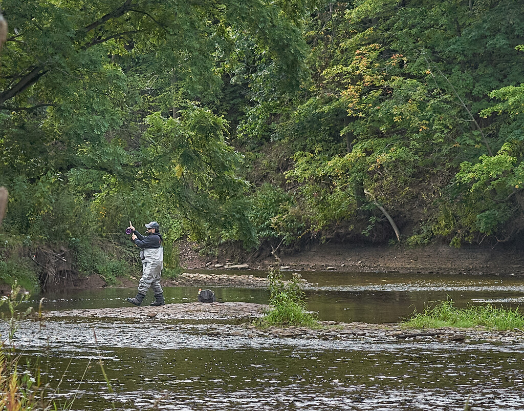Fishing on the Creek by gardencat