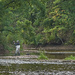Fishing on the Creek