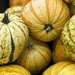 Fall Pumpkins  by julie